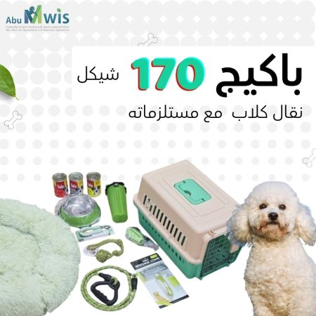 الاخضر